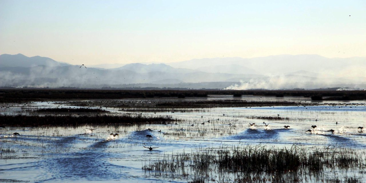 'kızılırmak Deltası Kuş Cenneti, Türkiye'Nin Doğal Zenginliğinin Kalbi'