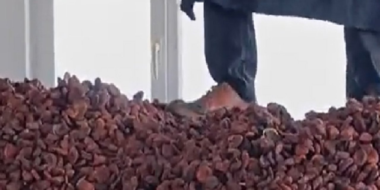 Ayakkabıyla Kayısılara Basarak Çalışan Üreticiye 10 Bin Tl Ceza