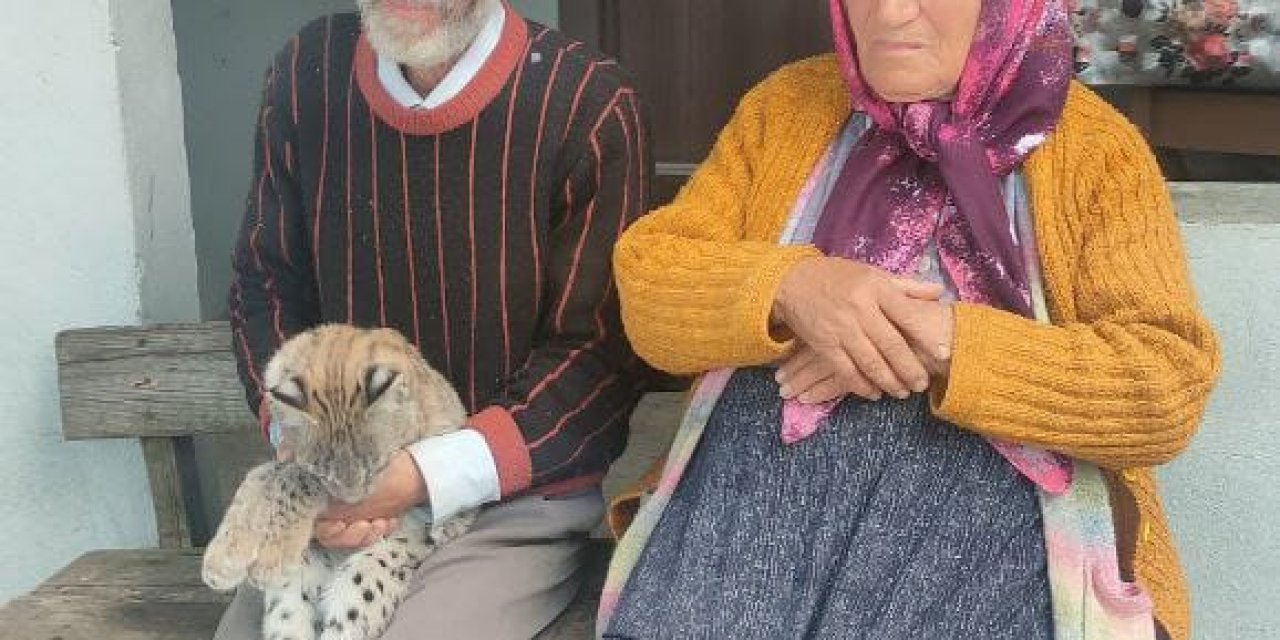 Ormanda Karşılaştığı Vaşak Yavrusu, Peşinden Köye Kadar Geldi