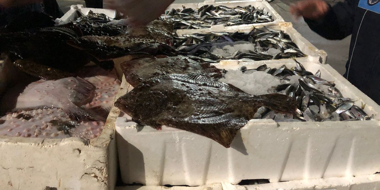 Gürpınar Balık Hali'nde Denetim: 3 Kişiye 49 Bin Lira Ceza