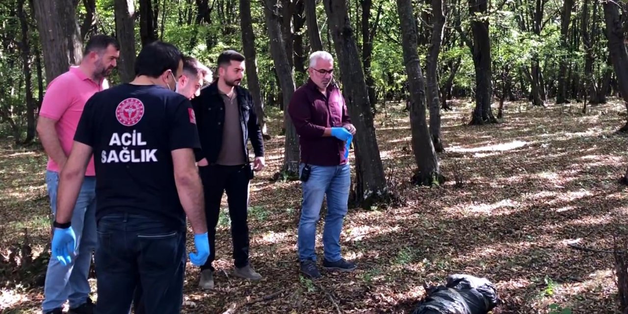 Koli Bantlarıyla Bağlanmış Poşette Ölü Köpek Bulundu