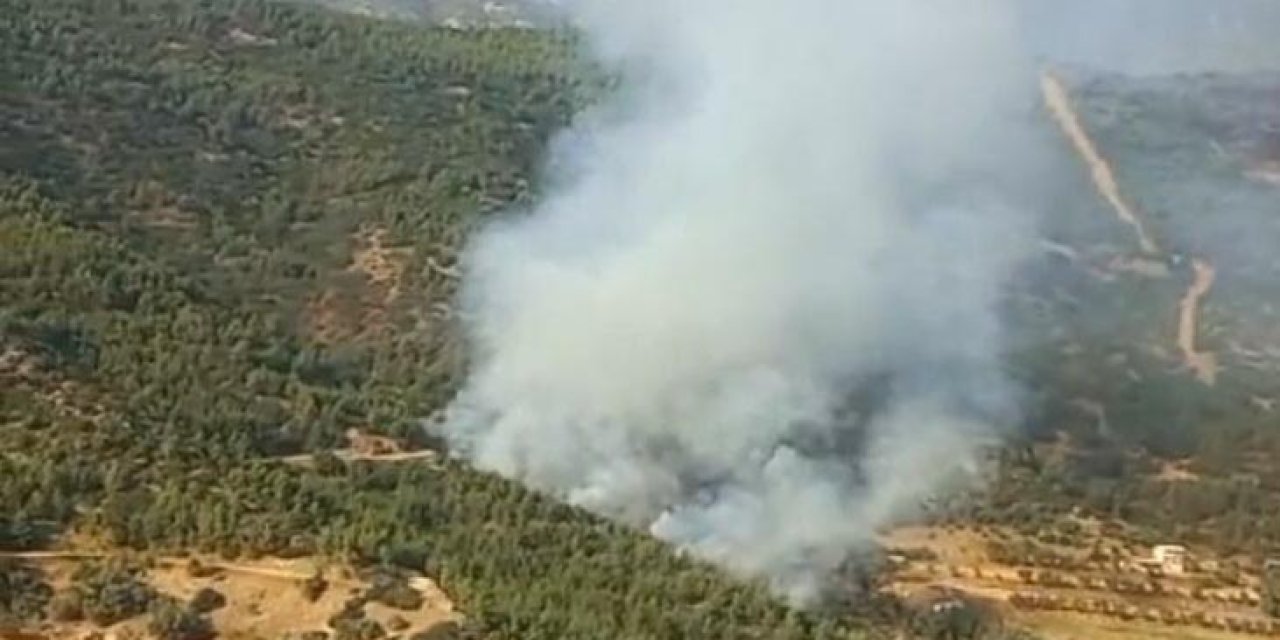 İzmir'de Orman Yangını