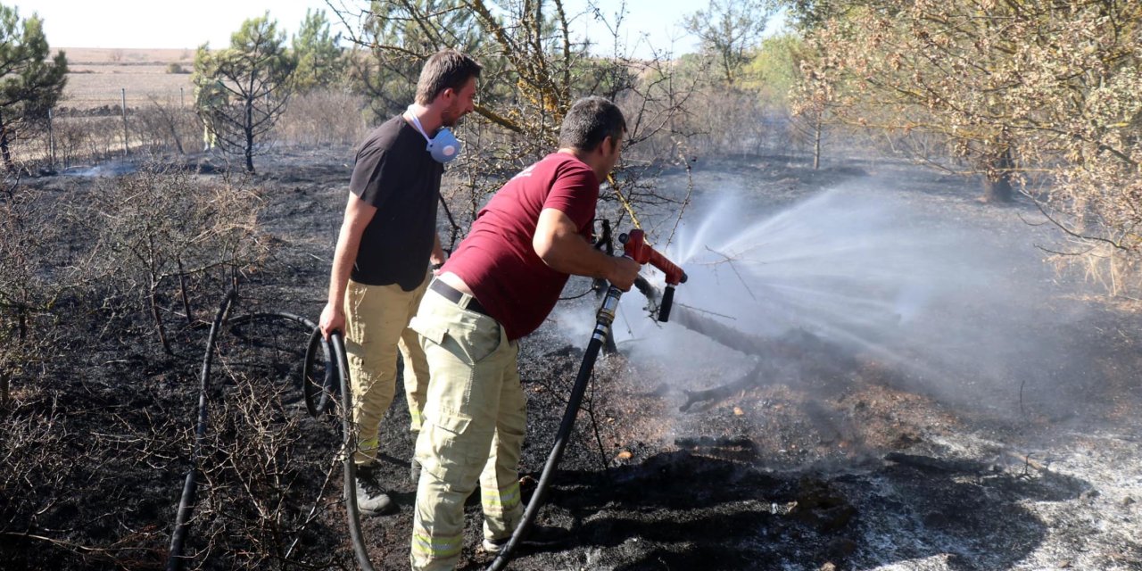 Edirne'de Tem Kenarındaki Ormanda Yangın