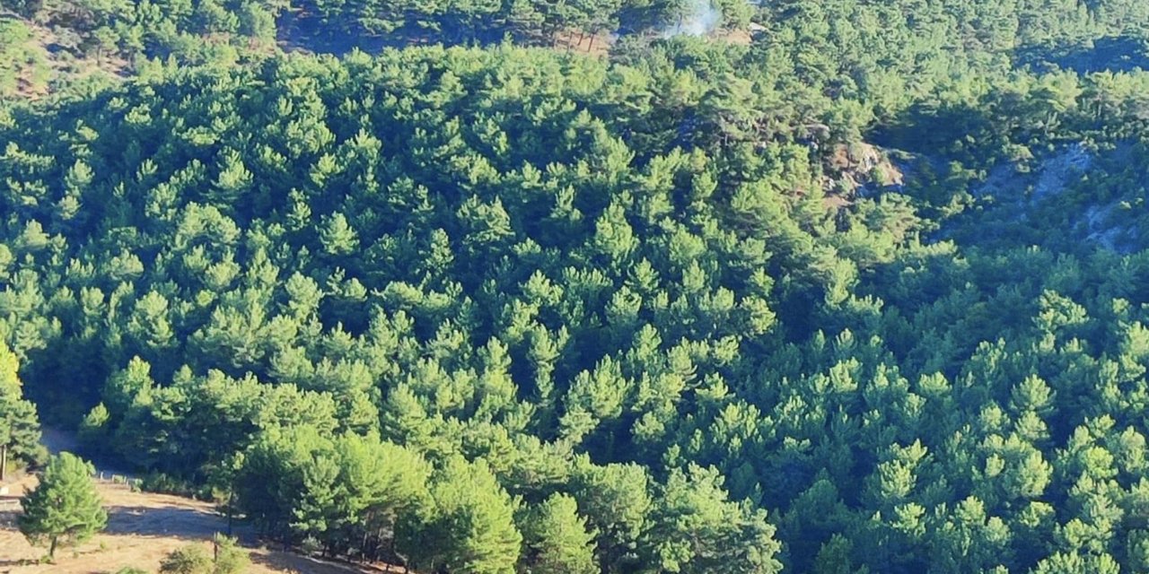 Çanakkale'de Orman Yangını