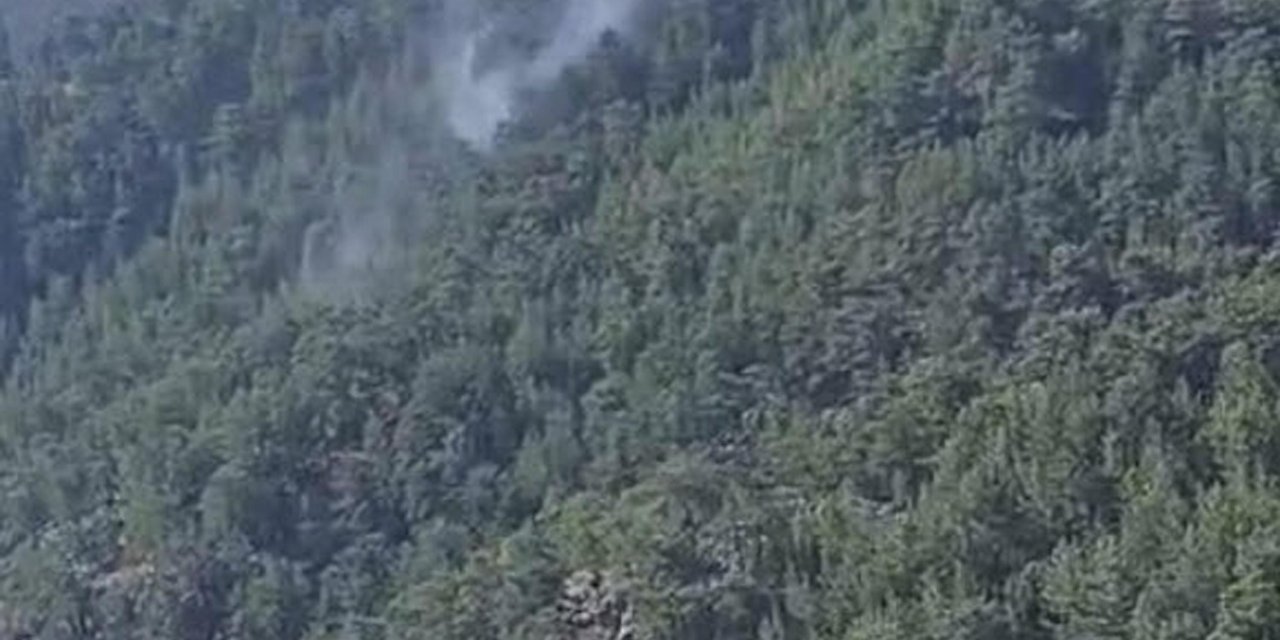 Muğla'da Orman Yangını (2)