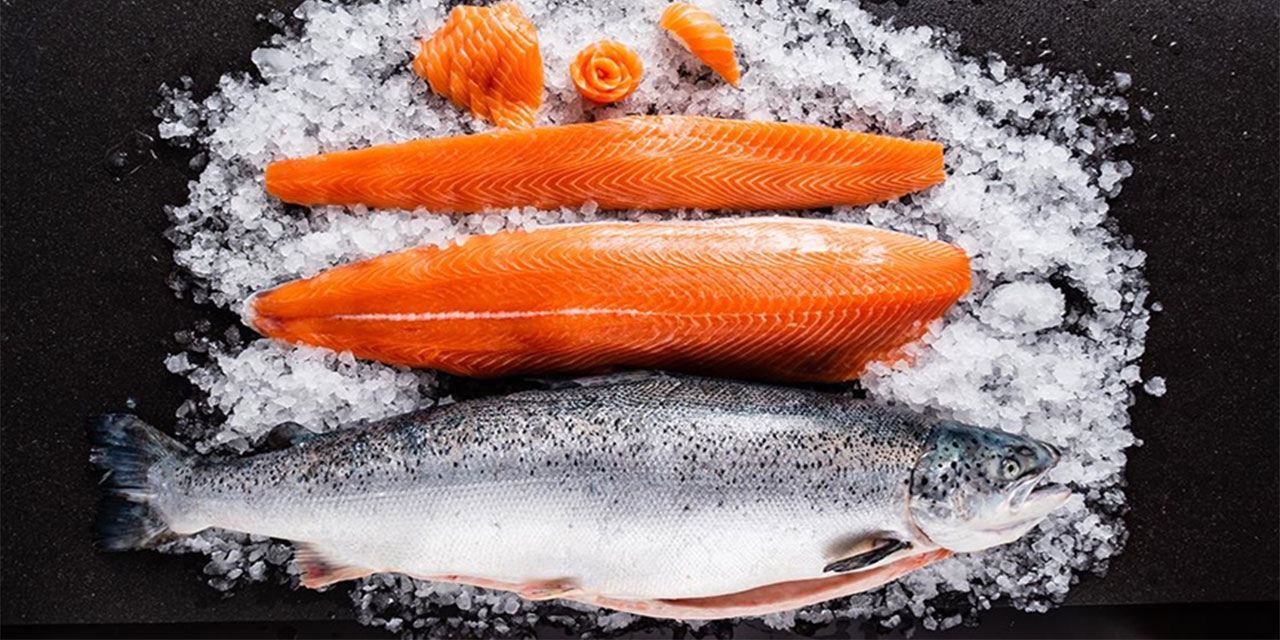 Türk somonu DKİB tarafından Çin'de tanıtılacak