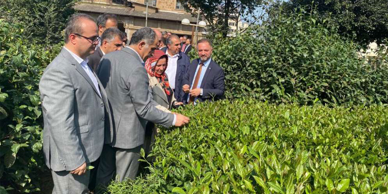 RTEÜ Çay İhtisaslaşma Koordinatörlüğü Tarafından İran'a Teknik Gezi Düzenlendi