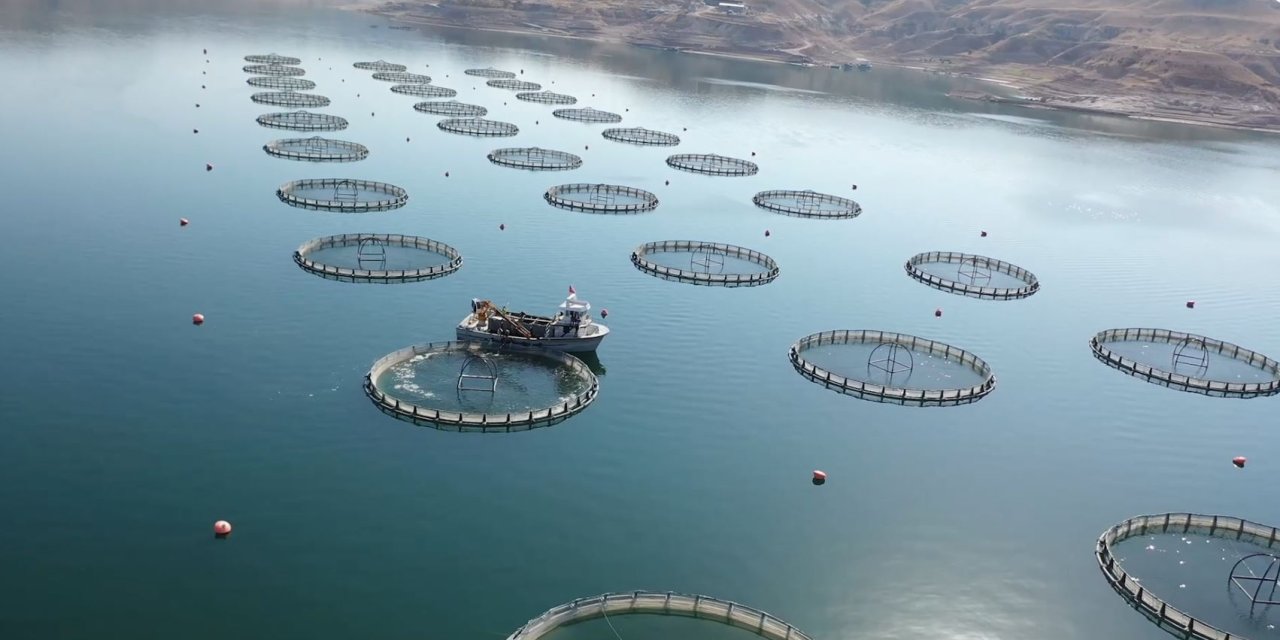 Bakan Yumaklı: Uygun Alanlarda İstiridye Yetiştiriciliğini Başlatmayı Planlıyoruz