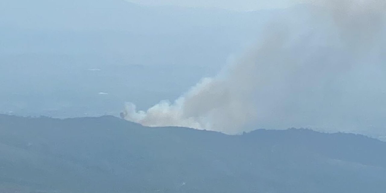 İzmir'de Orman Yangını