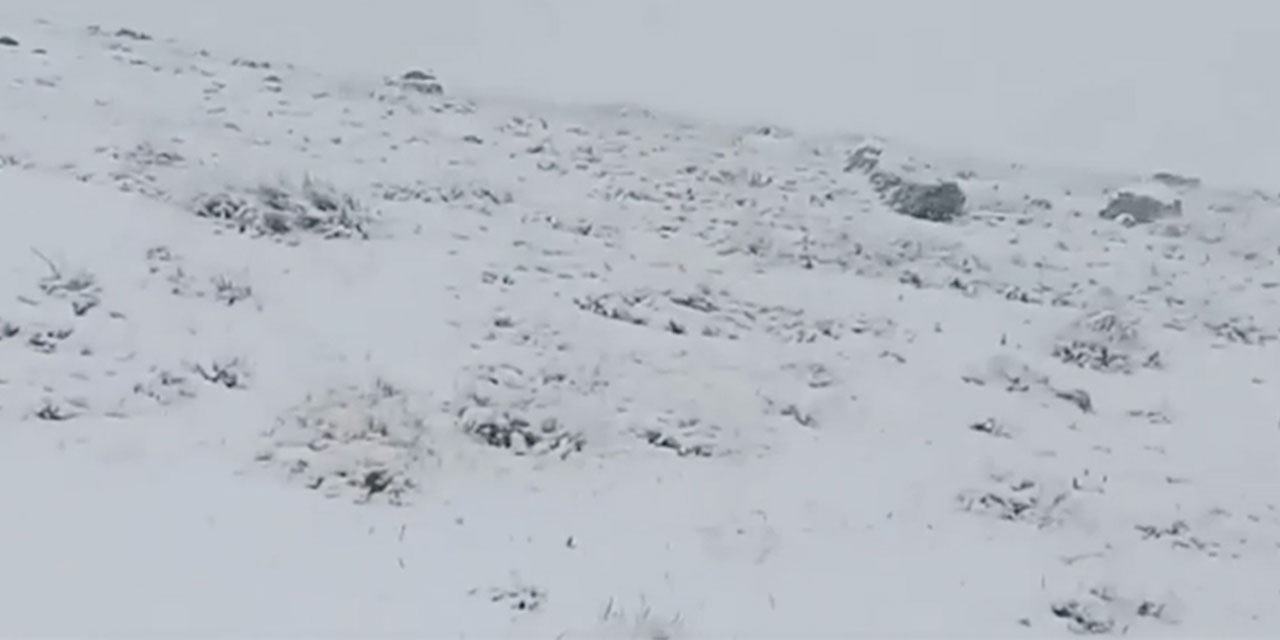 Artvin'in yüksek kesimlerine kar yağdı