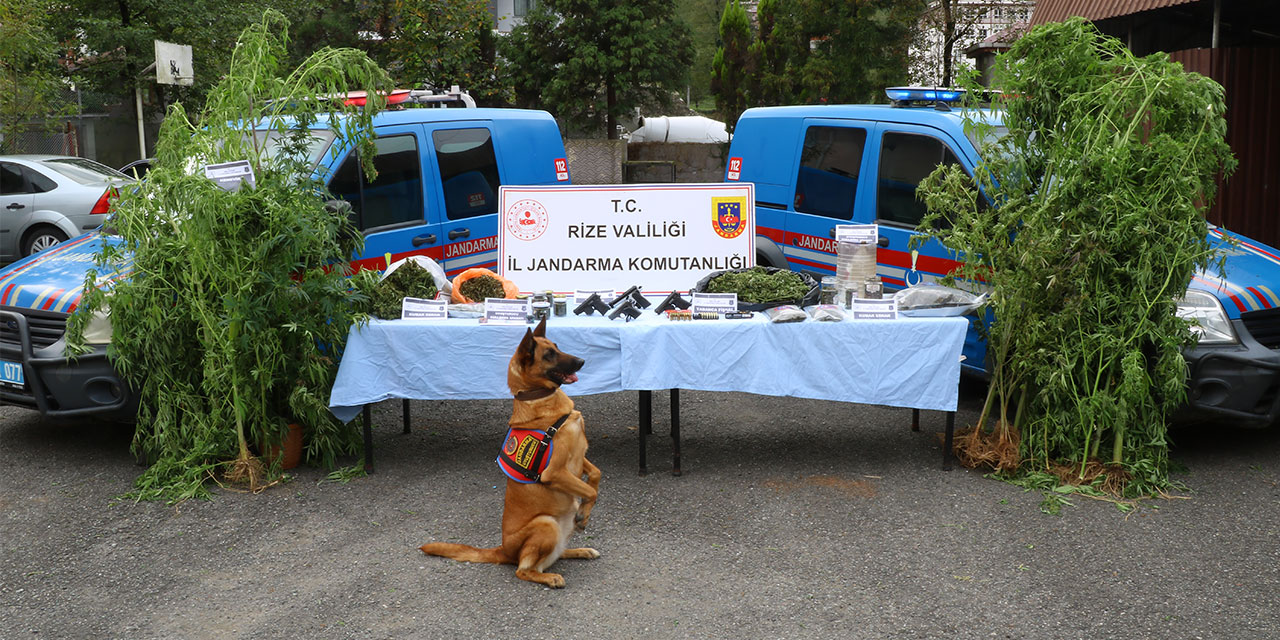 Rize'de 5 ilçede yapılan uyuşturucu operasyonunda 14 zanlı yakalandı