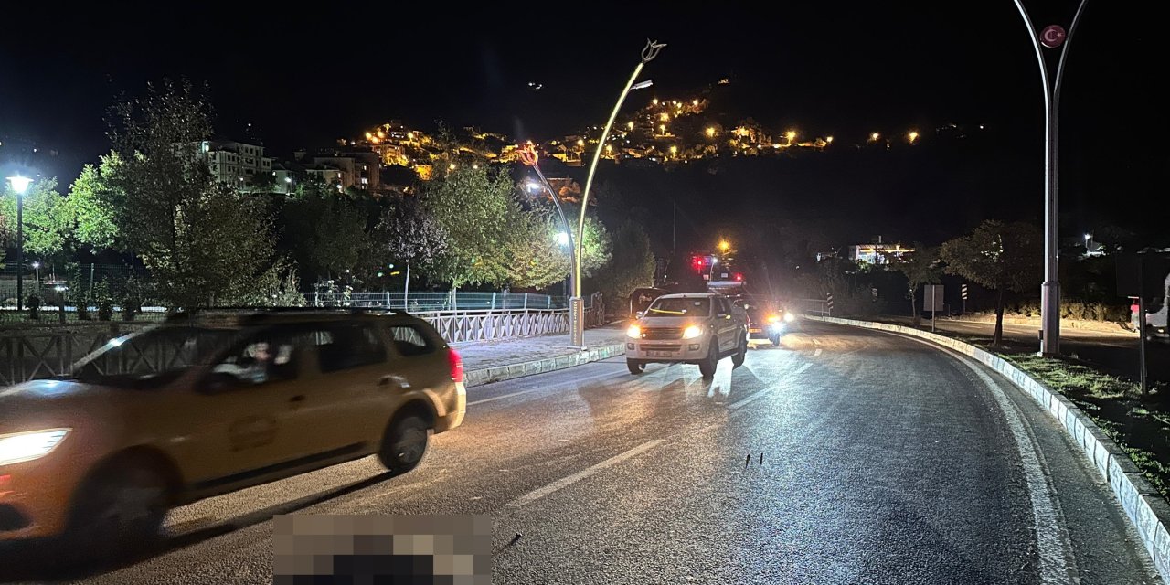 Tunceli’de 2 Otomobil Yola İnen Sürüye Daldı, 2 Domuz Öldü