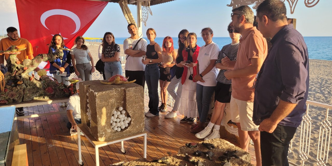 Manavgat'ta 16 Bin Kaplumbağa Yavrusu Denize Ulaştı