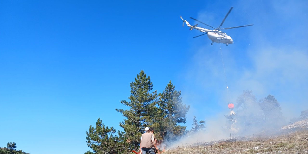 Kütahya'da Orman Yangını; 1 Hektar Alan Zarar Gördü