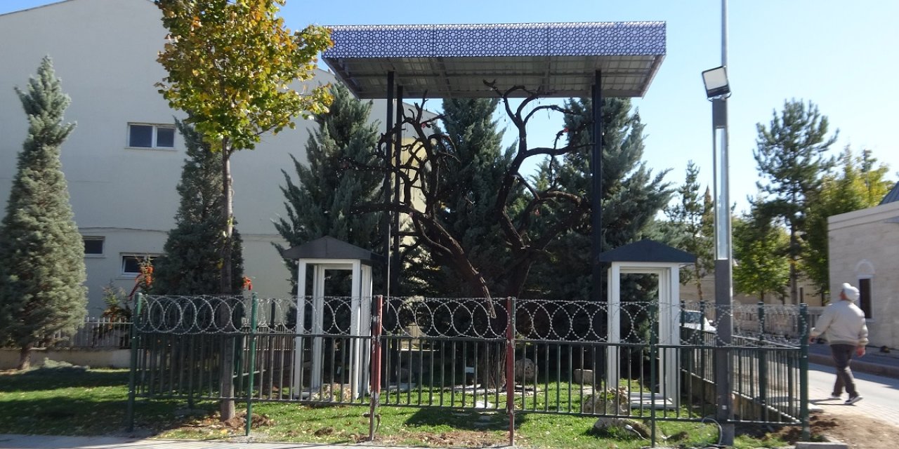 'şehitler Ağacı'ndan Künye Çalan Anne İle Oğluna Para Cezası