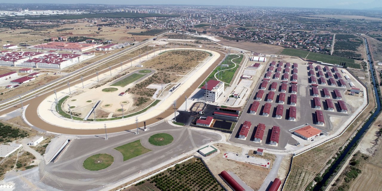 Hipodromda Seyislik Kursu İlanına Kadınlardan Yoğun İlgi