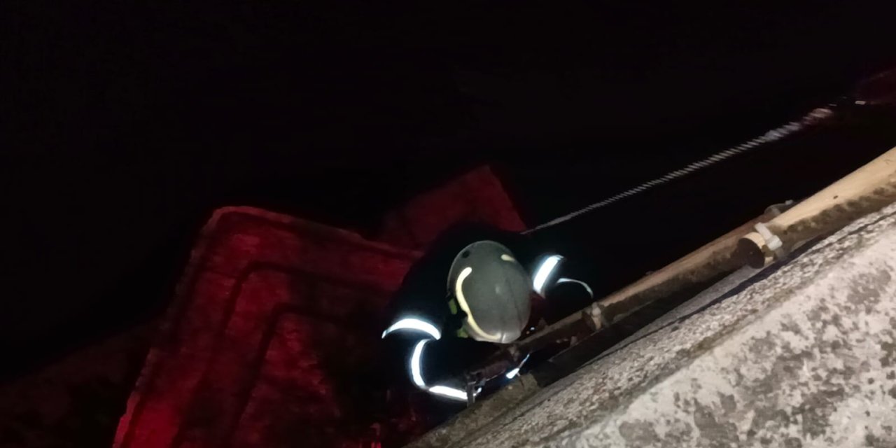 Köprü Ayağında Mahsur Kalan Kediye Halatlı Kurtarma