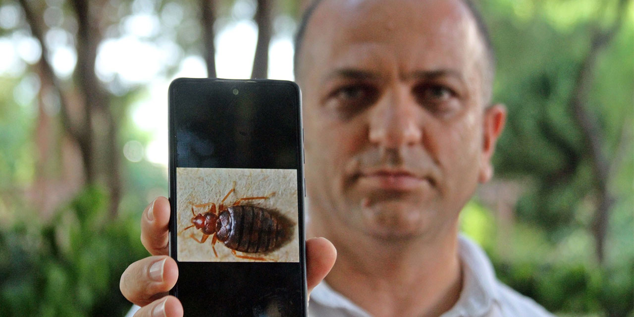 Geceleri saklanıyorlar, insanın uyumasını bekleyip kanını emiyorlar