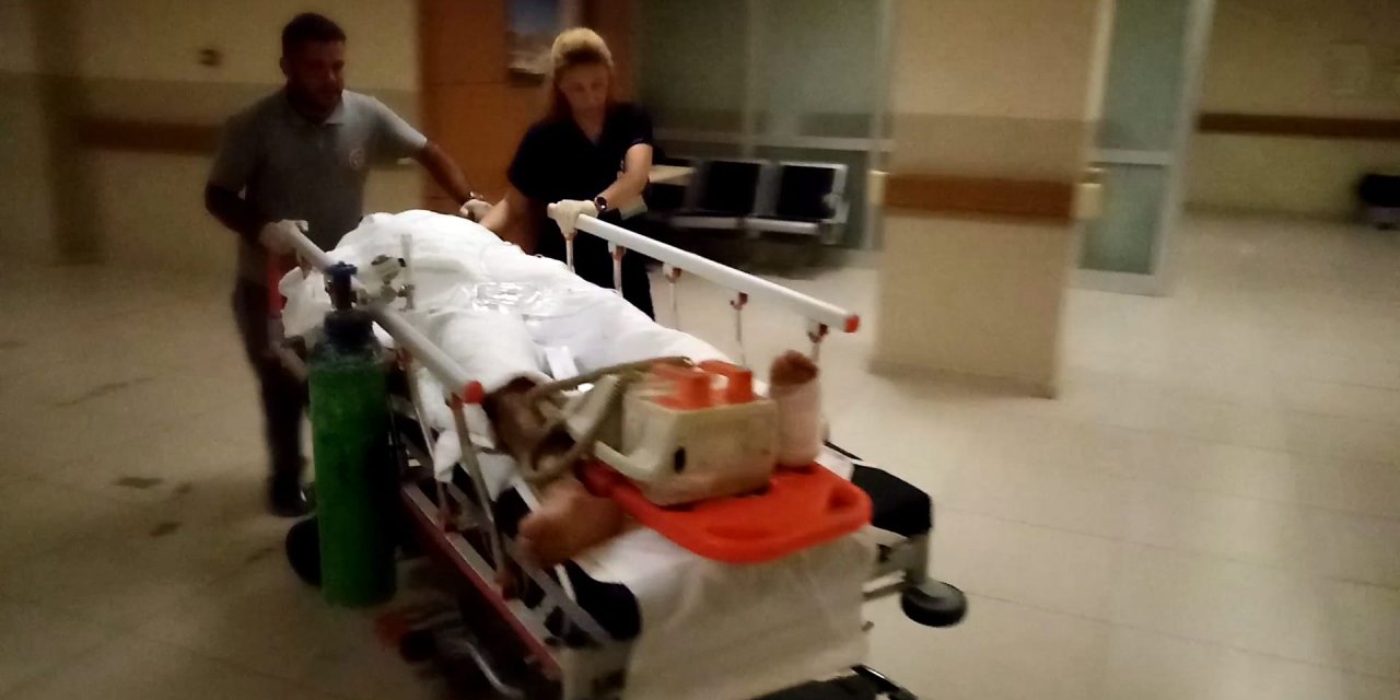 Babasını Taşla Darbedip Ablasını Yaralayan Şizofreni Hastası, Sağlıkçılara Da Saldırdı