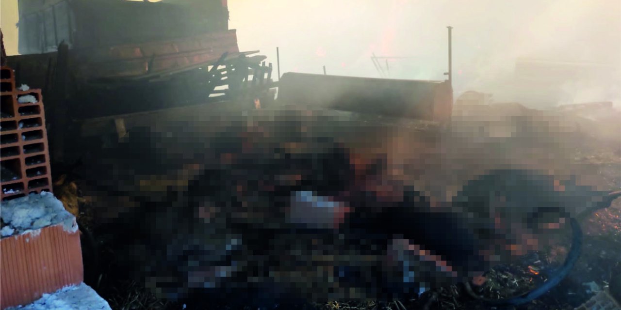 Sahibinin Tadilat Yaptığı Ağılda Yangın Çıktı; 44 Küçükbaş Öldü