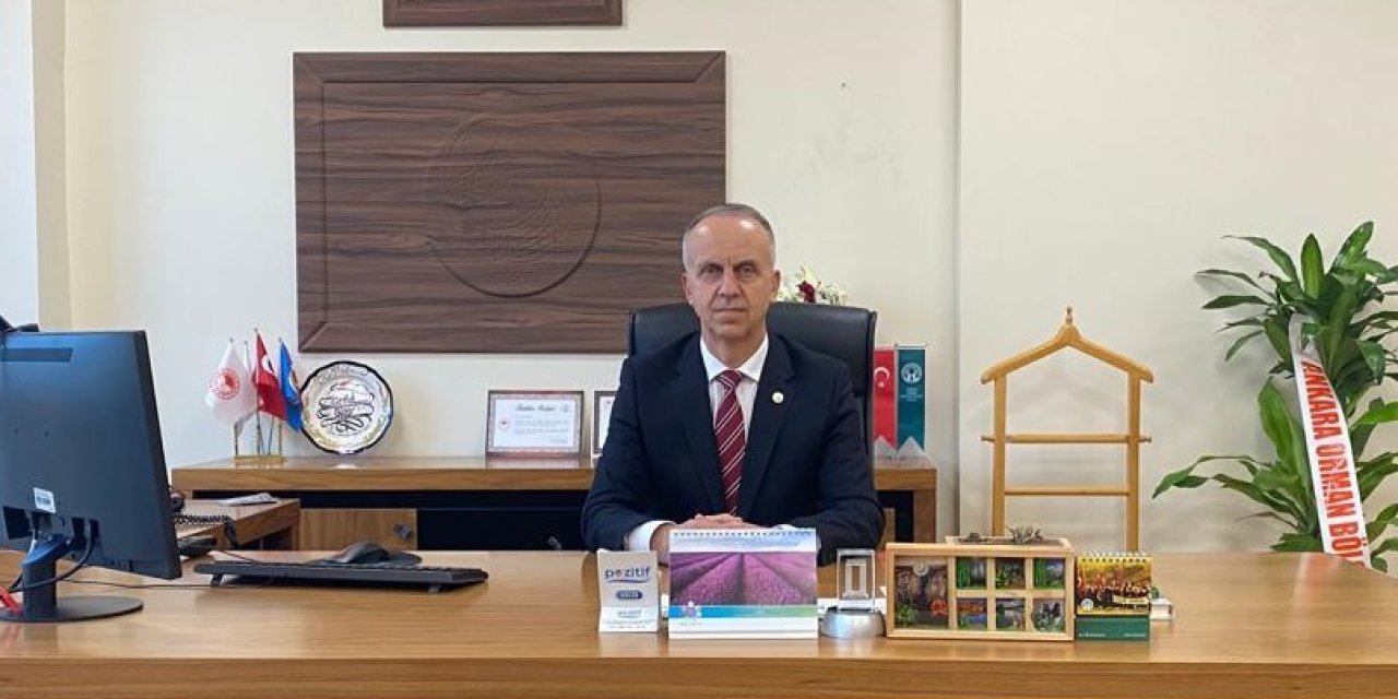 Orman Köylüsüne Isı Yalıtımı Desteği İle 63 Bin Ton Odun Tasarrufu