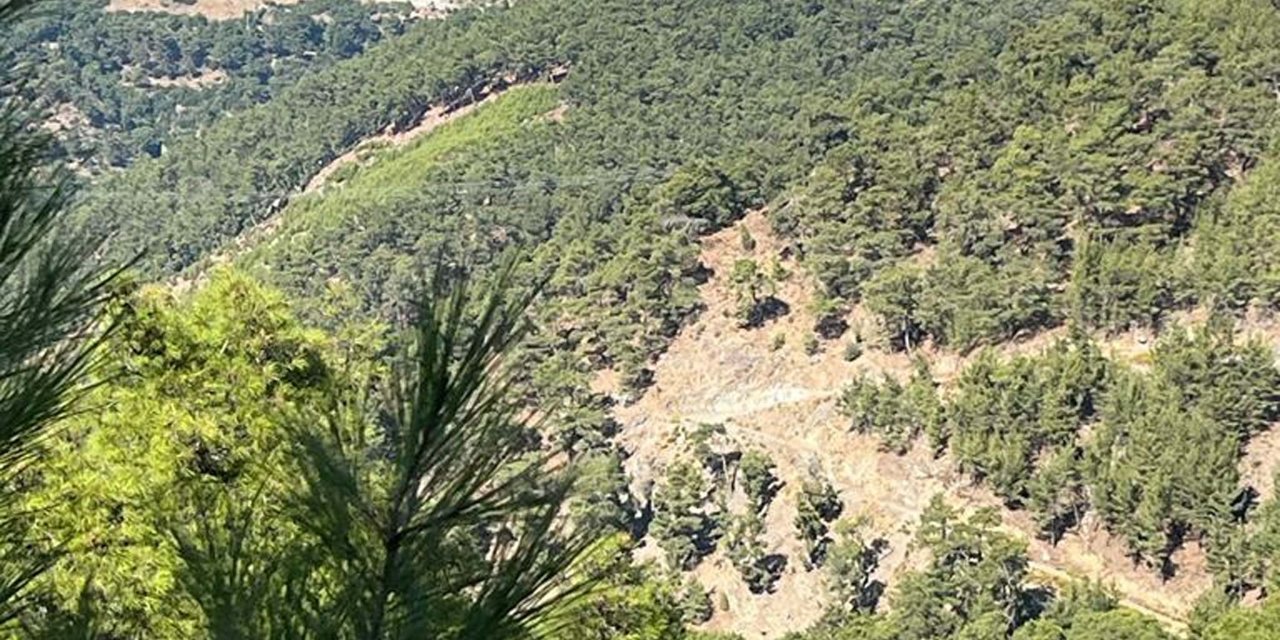 İzmir'de Orman Yangını