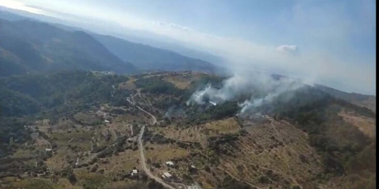 İzmir'de Orman Yangını (2)