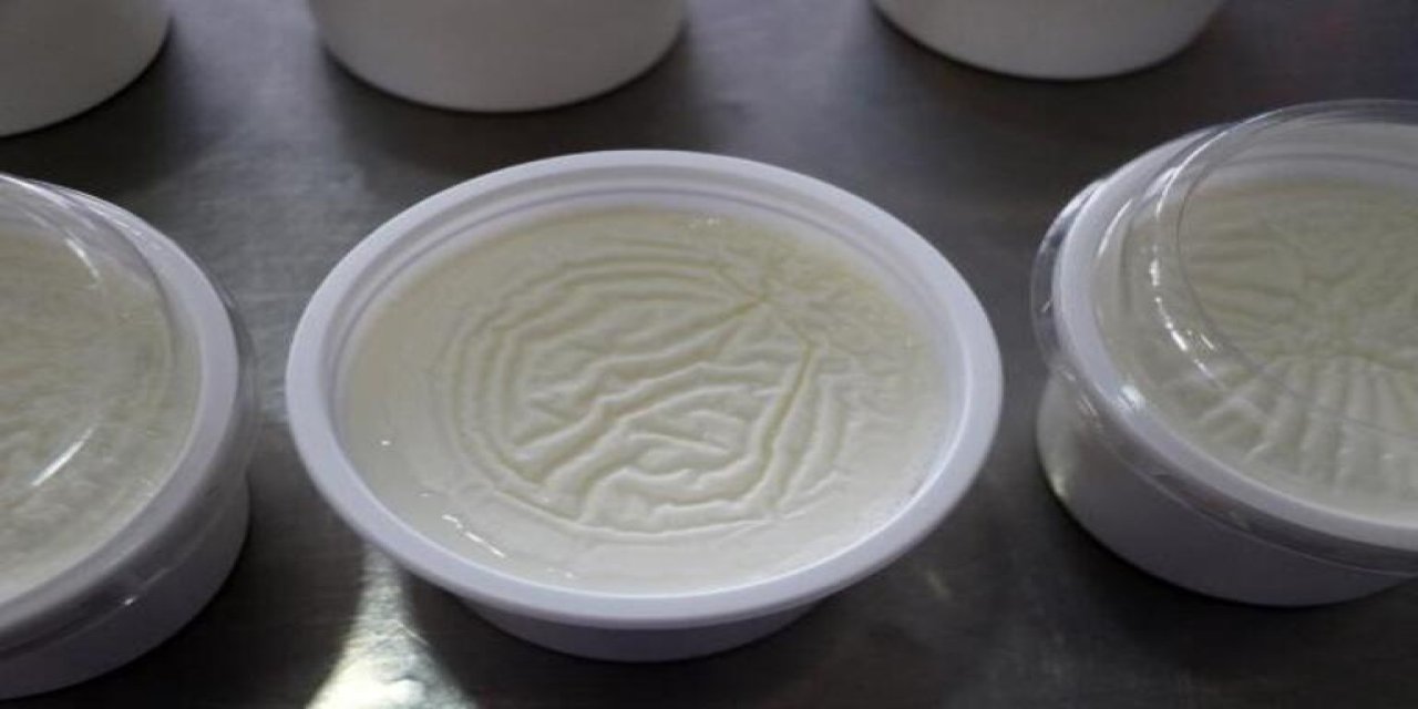 Prof. Dr. Korkut: Yoğurt Doğal Bir Antidepresan