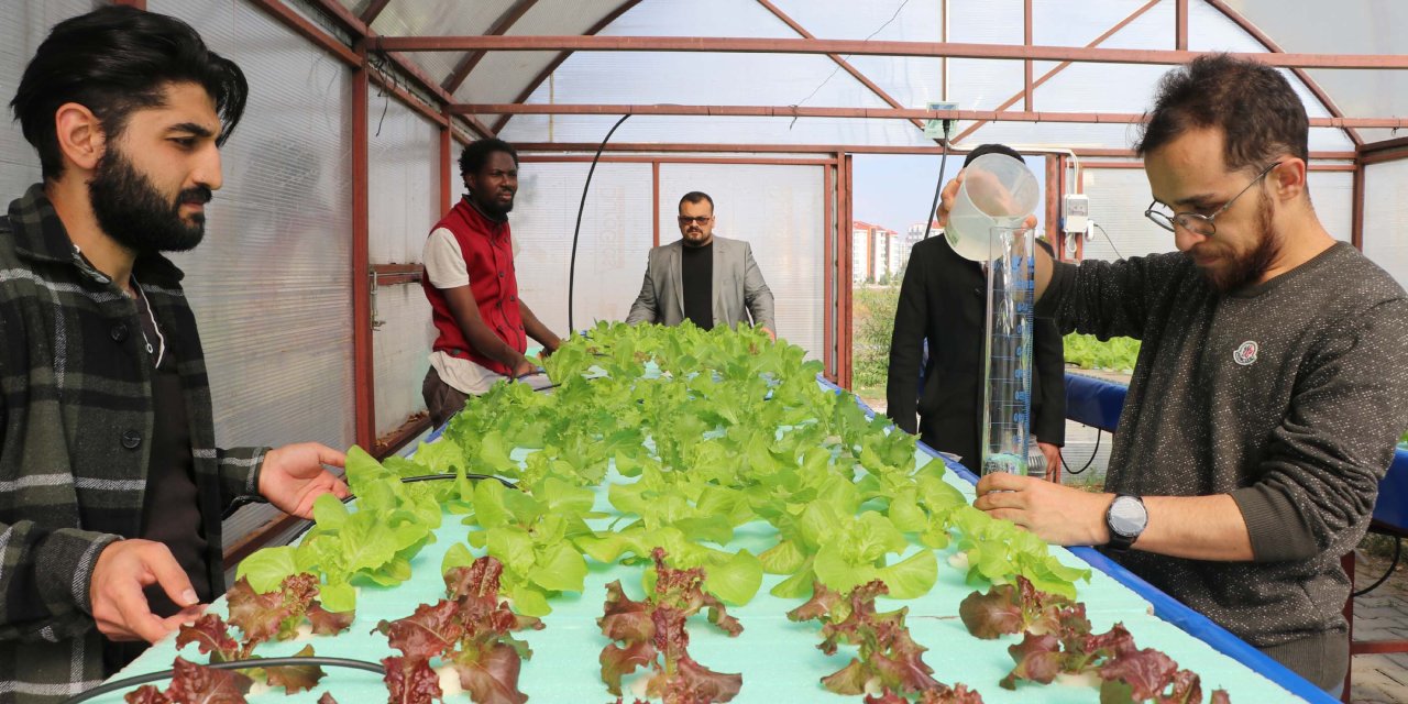 Erü'de Yetiştirilen Yüzen Marullar, 8 Ülkeden Gelen Öğrencilerin Geçim Kaynağı Olacak