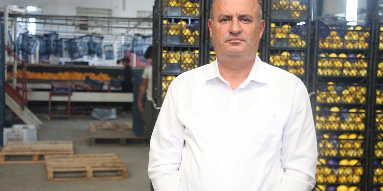 Bahçeden Bedavaya Alınsa Bile Limonun Tüketiciye Ulaşma Maliyeti 10 Lirayı Aşıyor