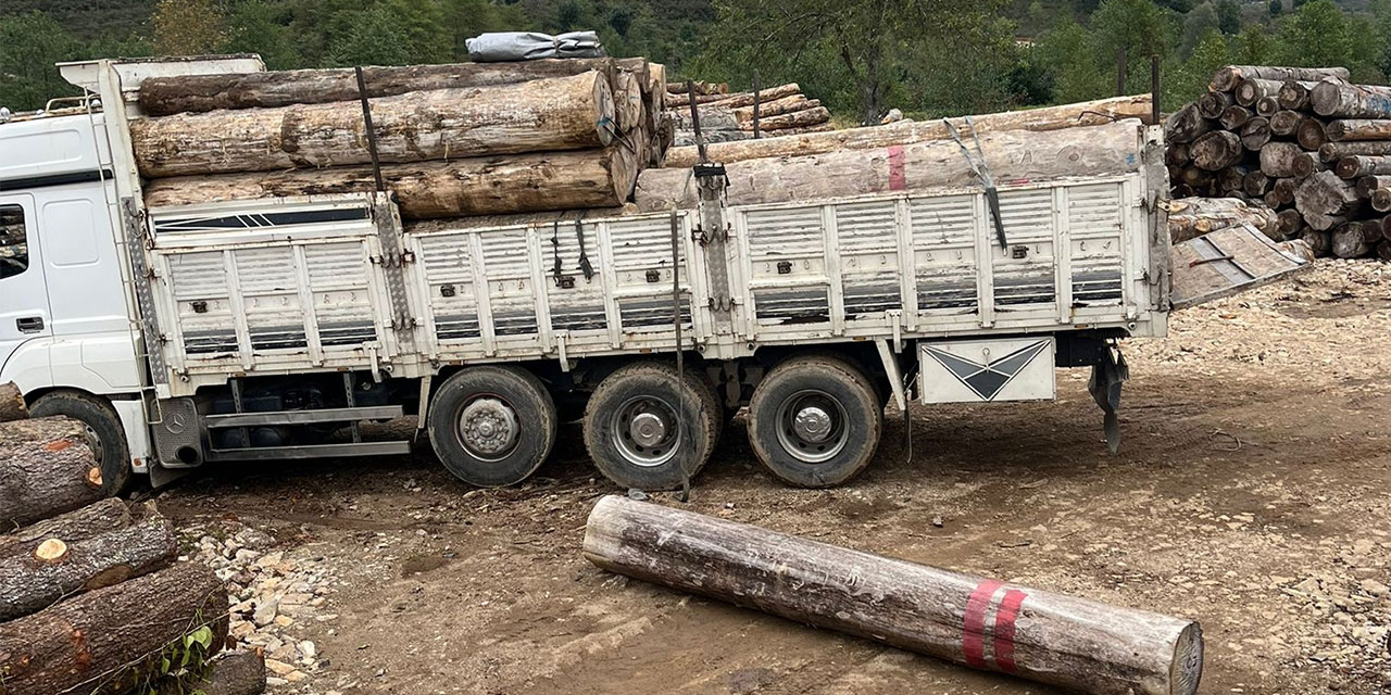Giresun'da üzerine tomruk düşen kişi öldü