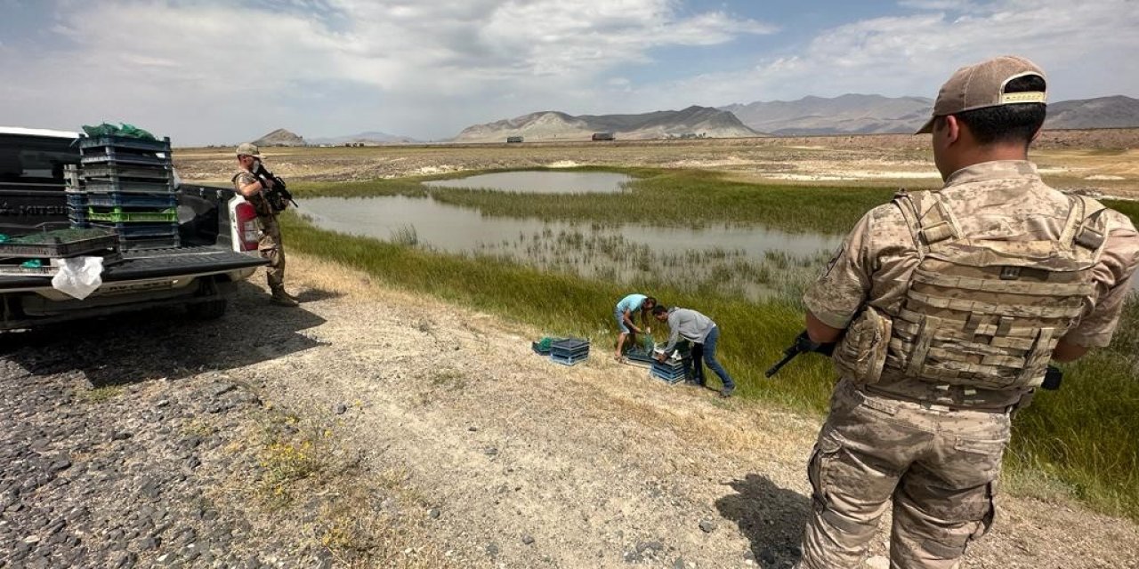 Ağrı'da Biyokaçakçılara 1 Milyon 465 Bin Lira Ceza