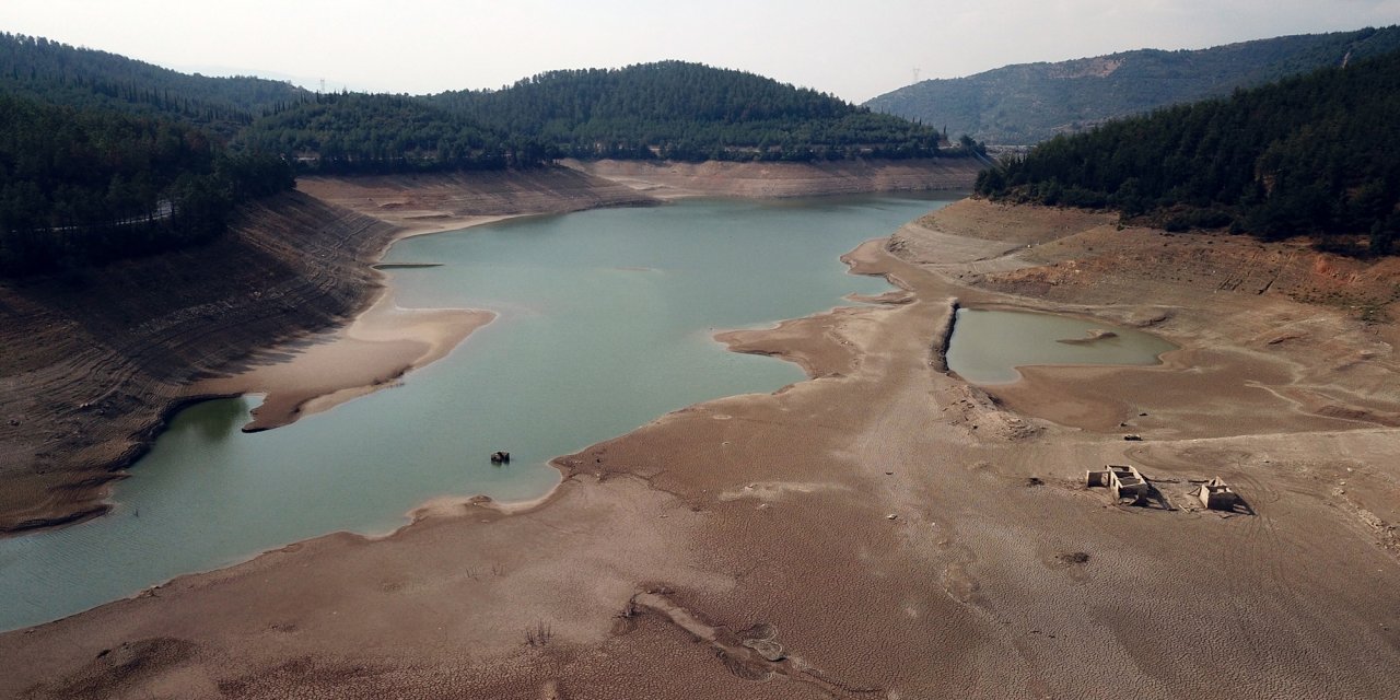 Bursa'da Kuruyan Sulama Barajında, Koyun Ve Keçiler Otluyor