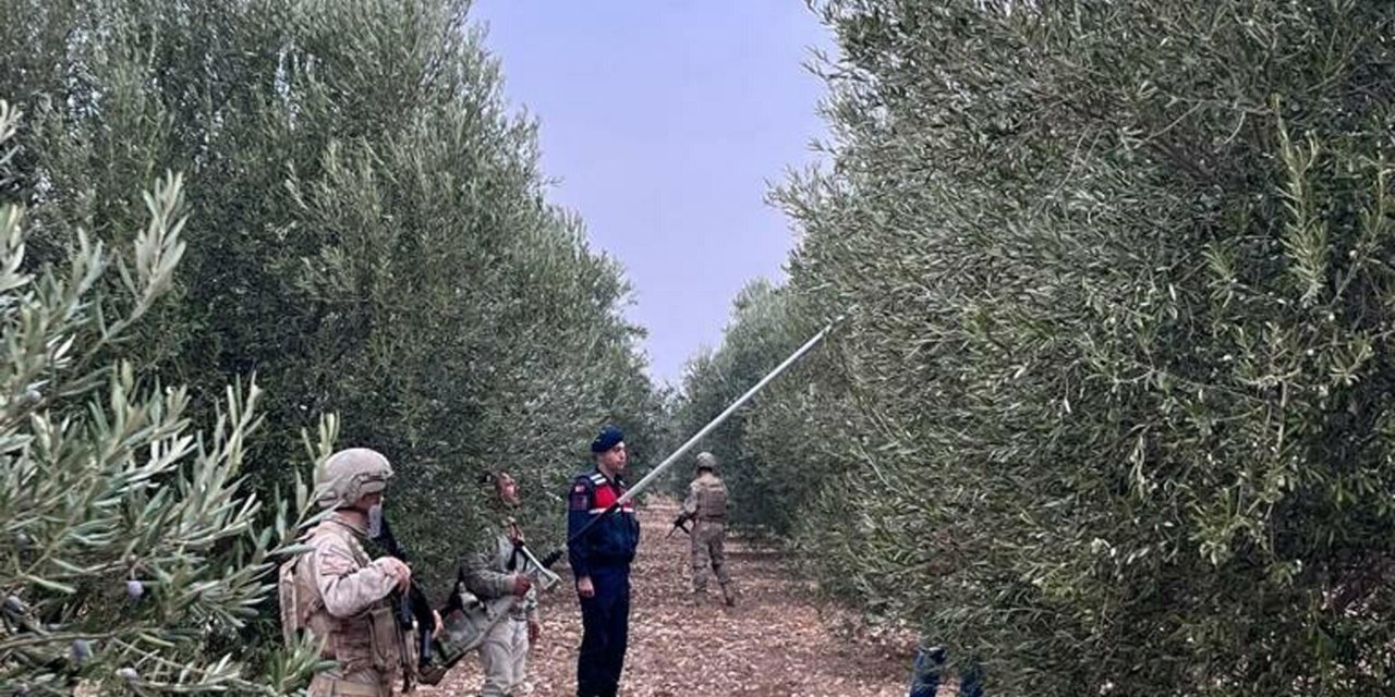 Manisa'da Jandarma Komando Timleri Zeytinler İçin Devriyede
