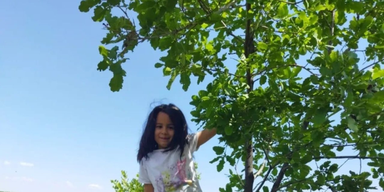 Yol Kenarında Hareketsiz Bulunan 6 Yaşındaki Nisa, Kurtarılamadı