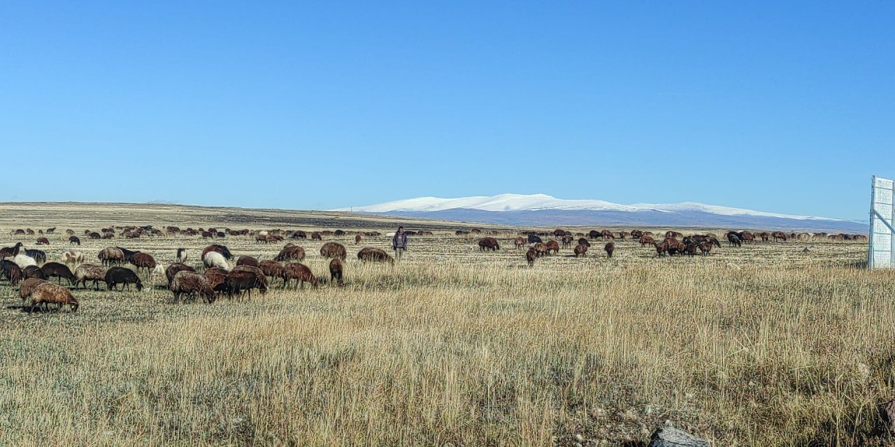 Kars'ta Soğuk Hava; Araç Camları Buz Tuttu, Kırağı Oluştu