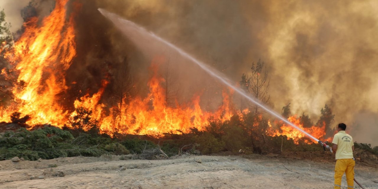 Prof. Dr. Neyişçi: 15 Yıl Sonra Yeniden Yanacak Ormanlar Kuruyoruz