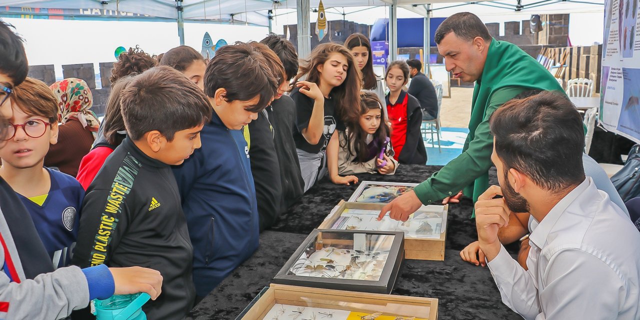 Özel İzinle Gezilen Müzedeki Türler, Sur Kültür Yolu Festivali İle Dışarı Çıkarılarak Halka Tanıtıldı