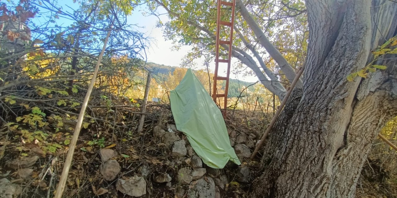 Ceviz Ağacından Düştü, Vücuduna Demir Saplanıp Öldü