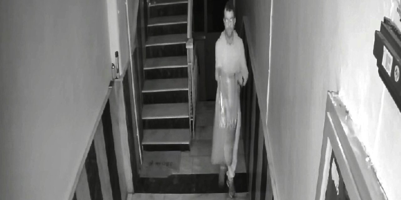 Avcılar'da Sokak Kedileri İçin Alınan Mama Çalındı