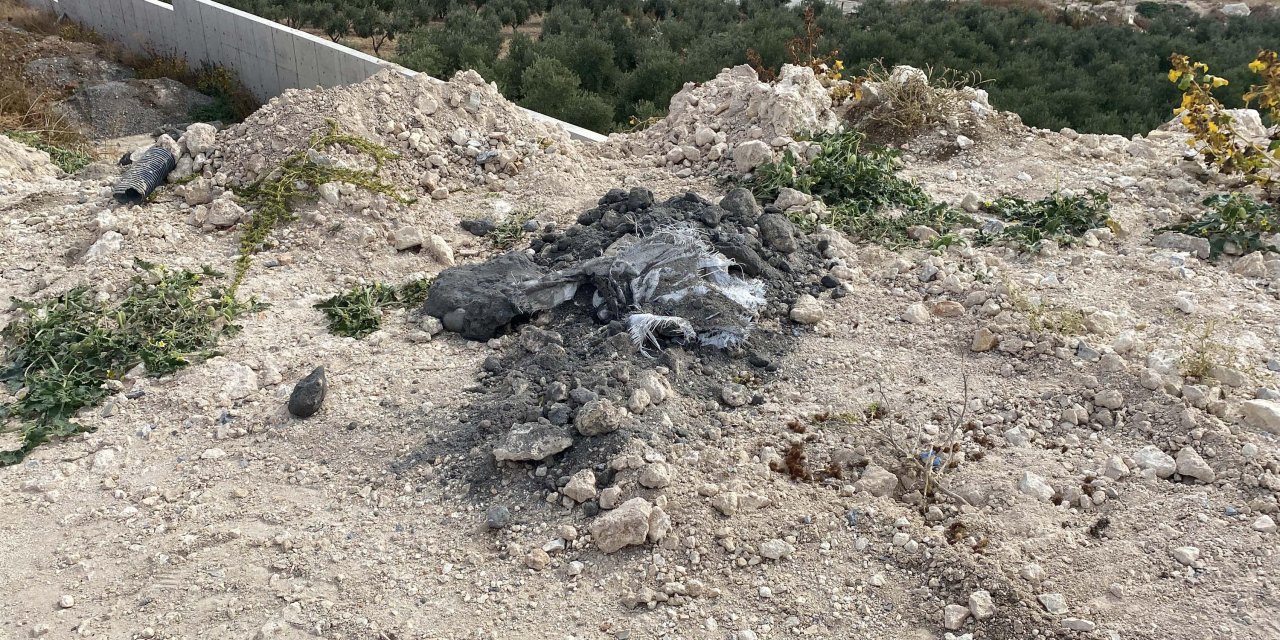 İzmir'de 'Kimyasal Atık' Şüphesine İnceleme