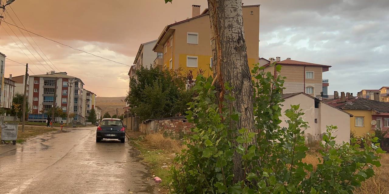 Sivas'ta Ağaca Yıldırım İsabet Edince Korkudan Bayıldı