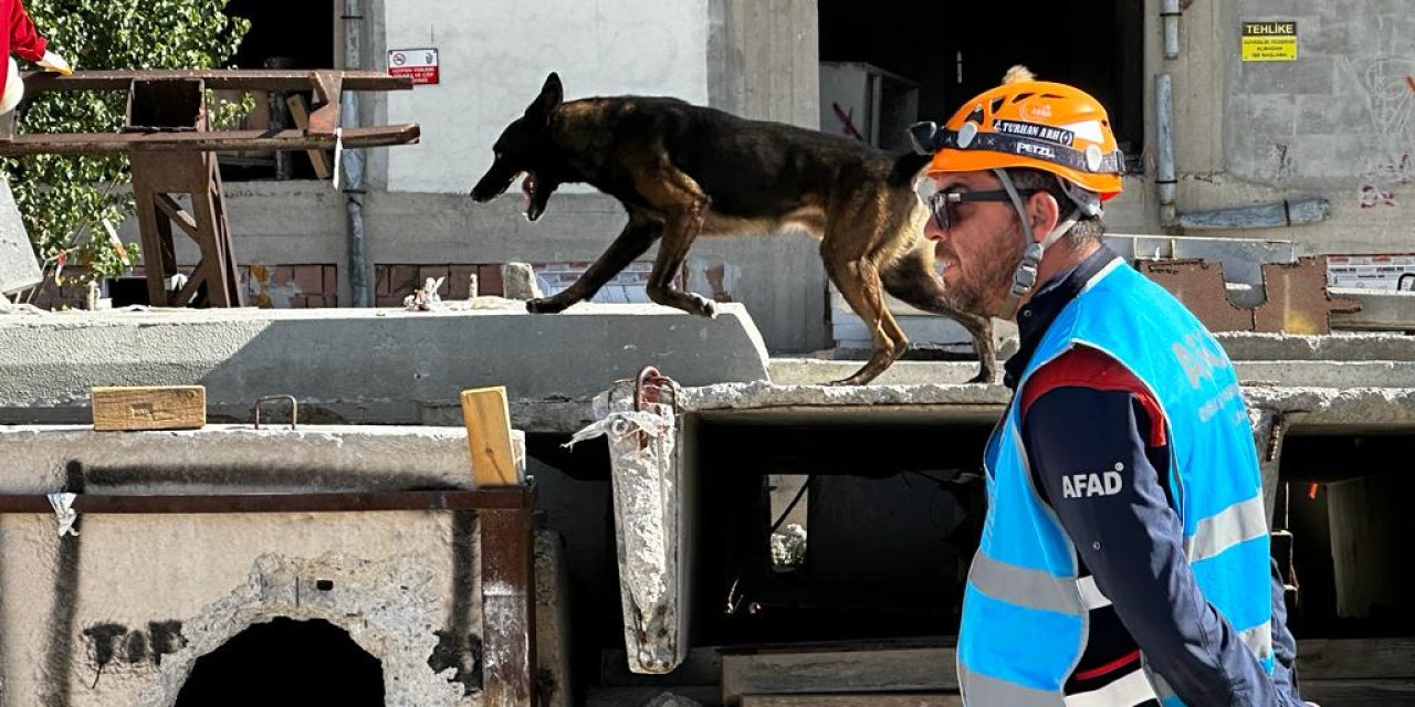 Hassas Burunlara Zorlu Sınavla Sertifika
