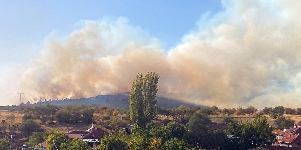Eskişehir’de Orman Yangını