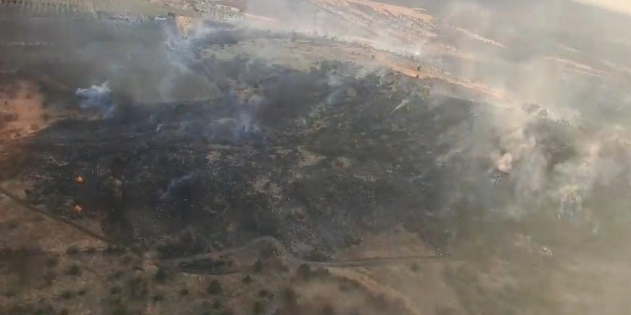 Eskişehir’de Orman Yangını (2)