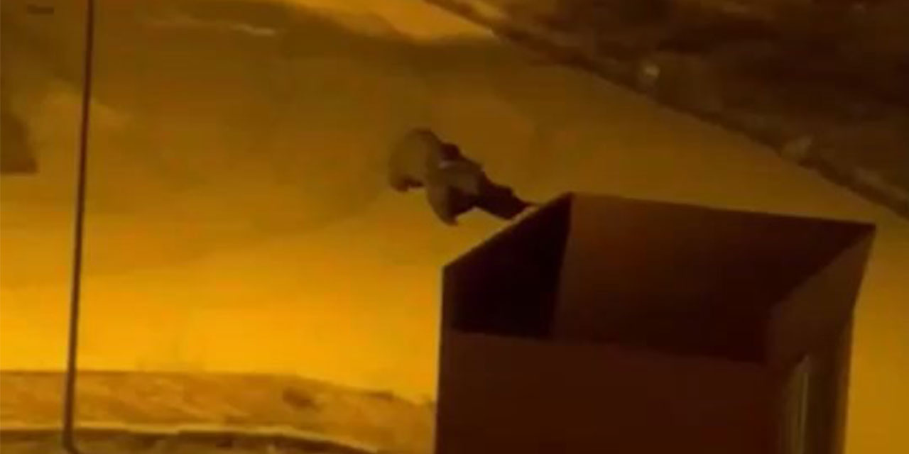 Gümüşhane’de üniversiteye ayı girdi