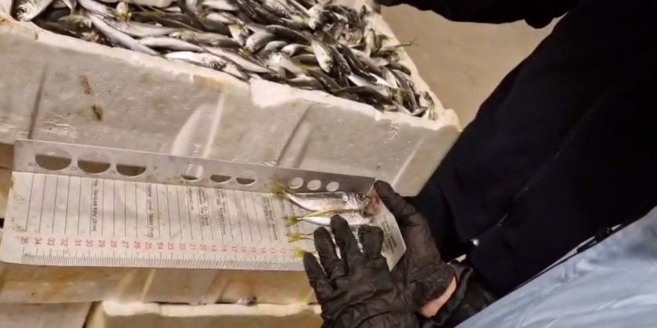 Bakan Yumaklı: Yasa Dışı Avlanan Su Ürünleri, Yardım Kuruluşlarına Bağışlanıyor