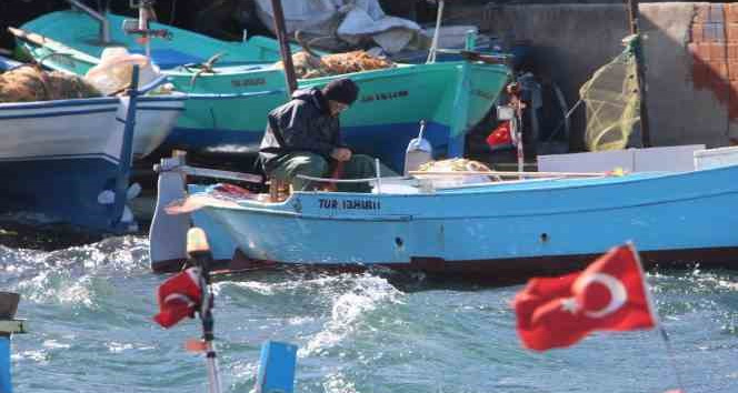 Hamsi sezonu kapattı, vatandaş istavrit ve mezgite yöneldi