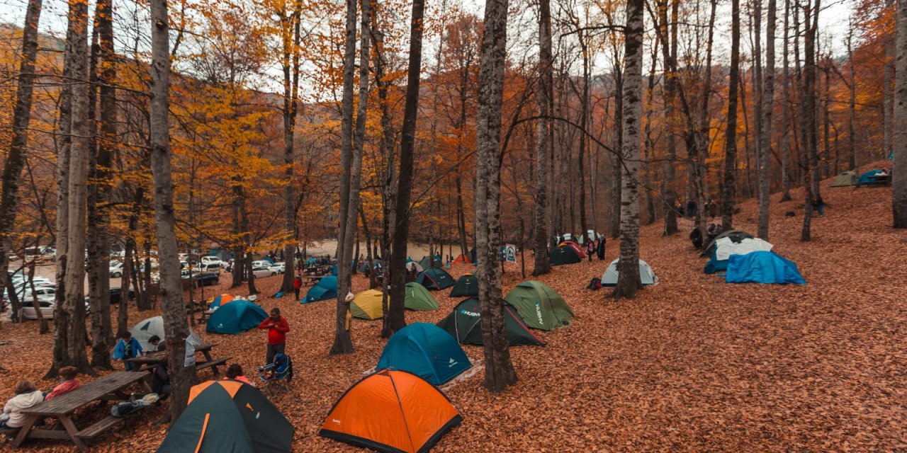 Yedigöller İçin Peyzaj Projesi
