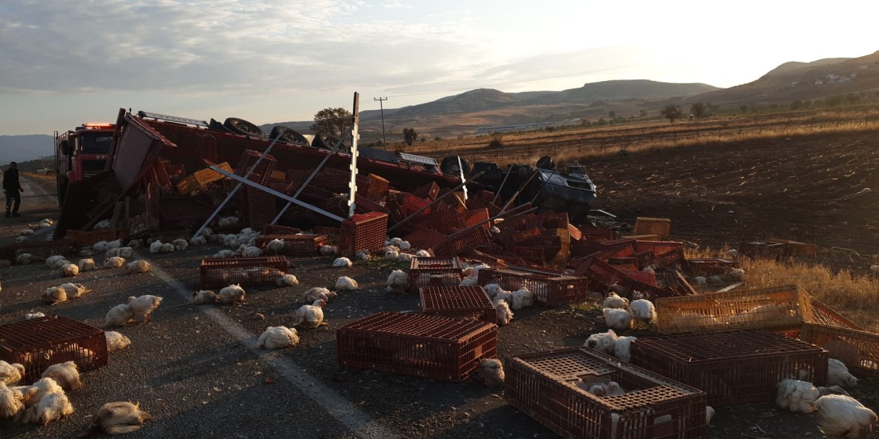 Devrilen Tır Alev Aldı; Şoför Yaralı, Çok Sayıda Tavuk Öldü